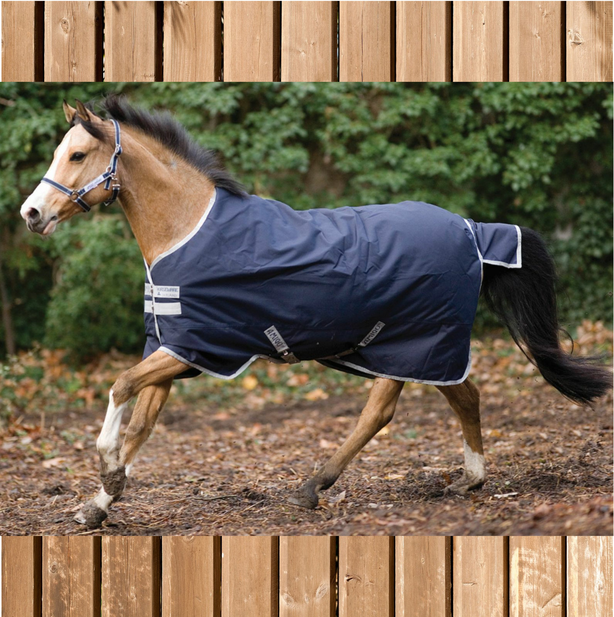 Horseware Amigo Bravo medium, 250g, navy-silver